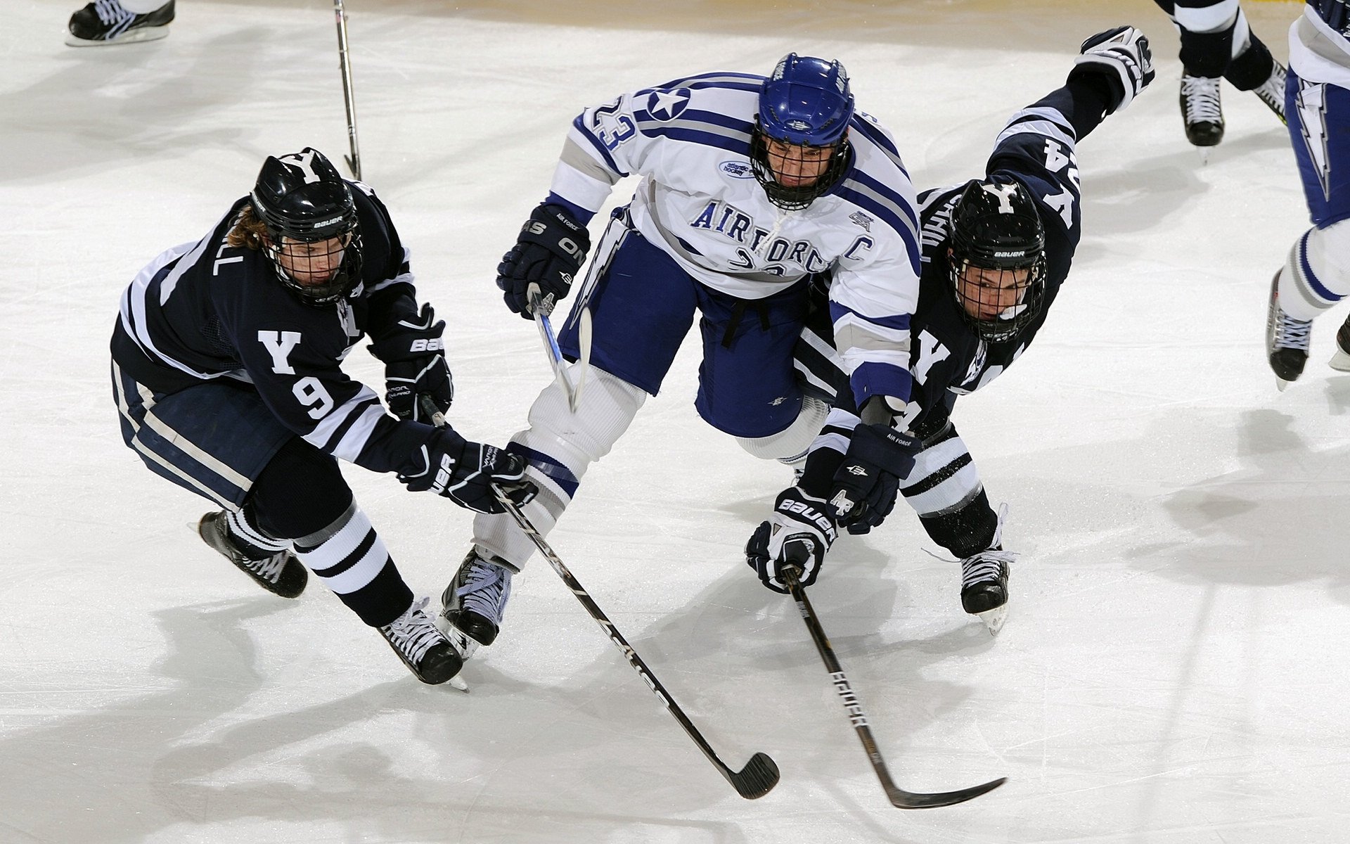 UFC格斗比赛火爆举行，明星选手亮相，ufc格斗名将
